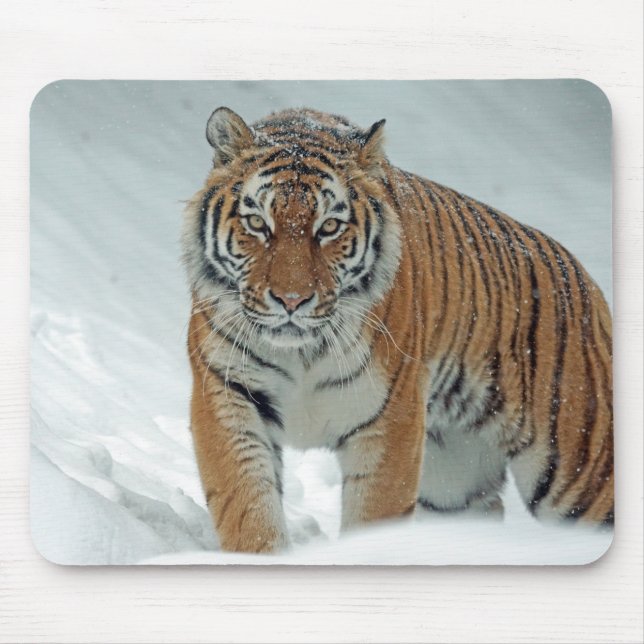 Mousepad Tigre na neve (Frente)