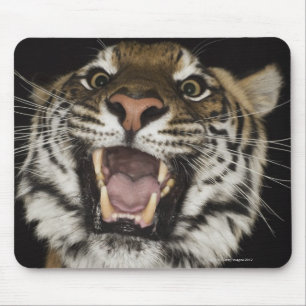 Mousepad Tigre que ruje 2