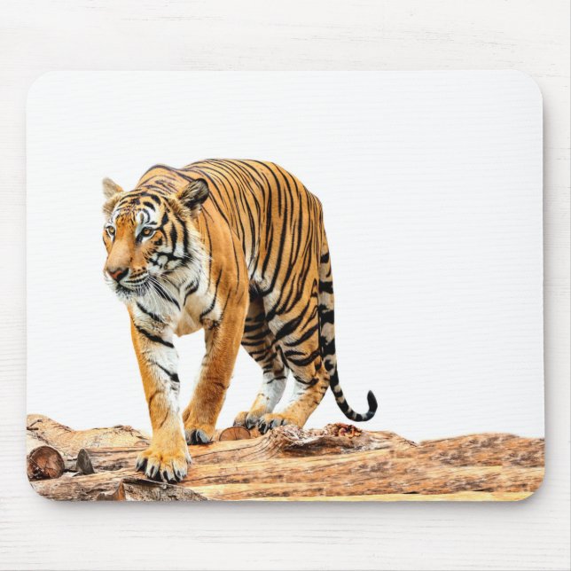Mousepad Tigre selvagem em um registro (Frente)