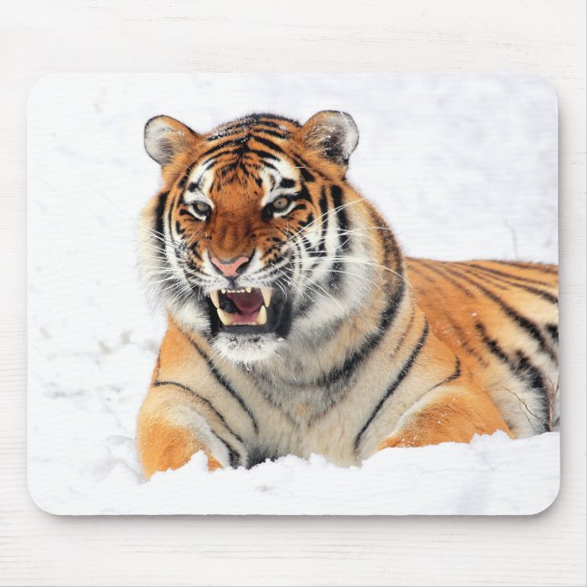 Mousepad Tigre selvagem na neve (Frente)