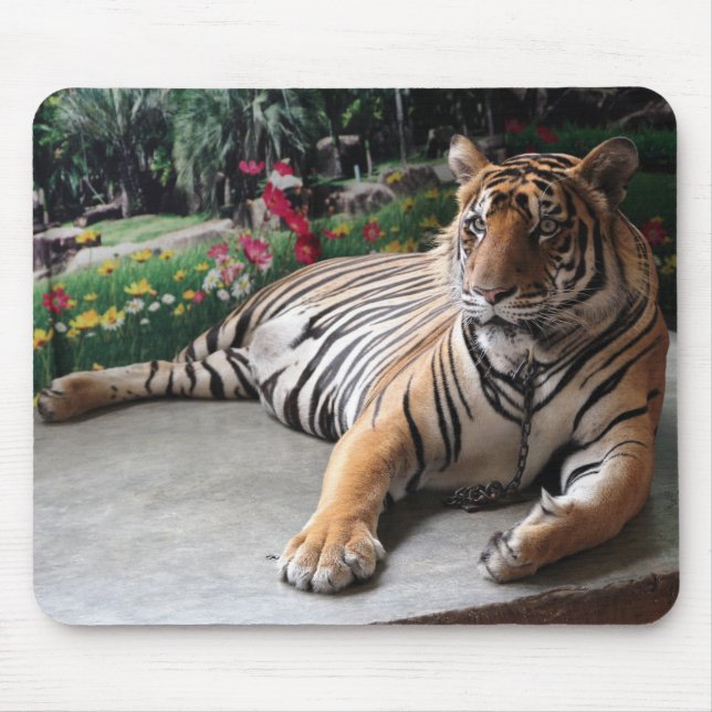 Mousepad Tigre Selvagem Personalizado (Frente)