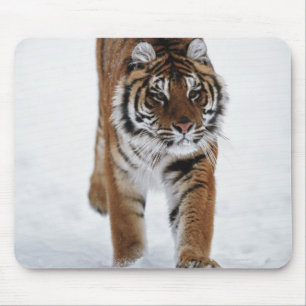 Mousepad Tigre Siberian na neve