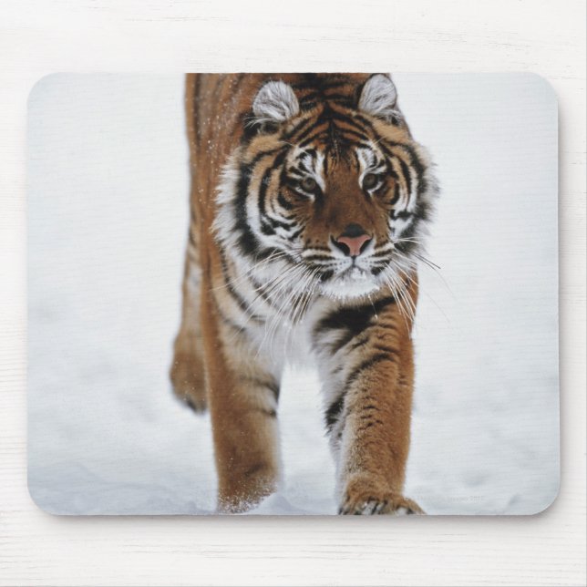 Mousepad Tigre Siberiano Em Neve (Frente)