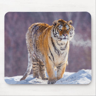 Mousepad Tigre siberiano na neve, China
