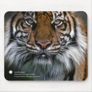 Mousepad Tigre Soyono de Smithsonian Sumatran