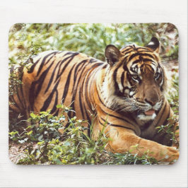 Mousepad tigre-sumatrano