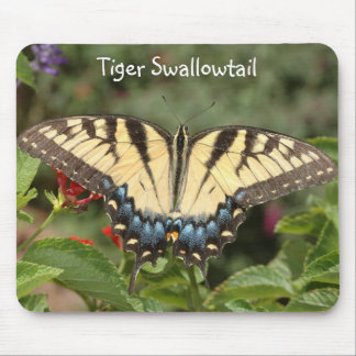 Mousepad Tigre Swallowtail