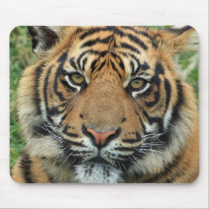 Mousepad Tigre Tapete de ratos