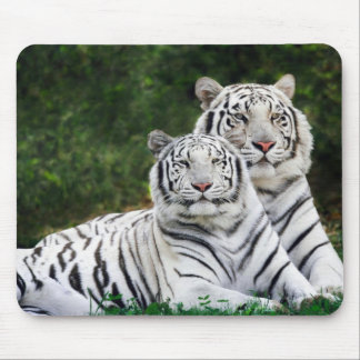 Mousepad Tigres