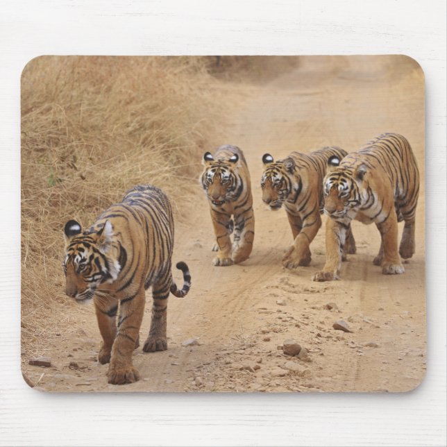 Mousepad Tigres de Bengala (Frente)