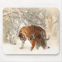 tigres na neve
