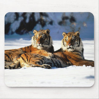 Mousepad tigres na neve