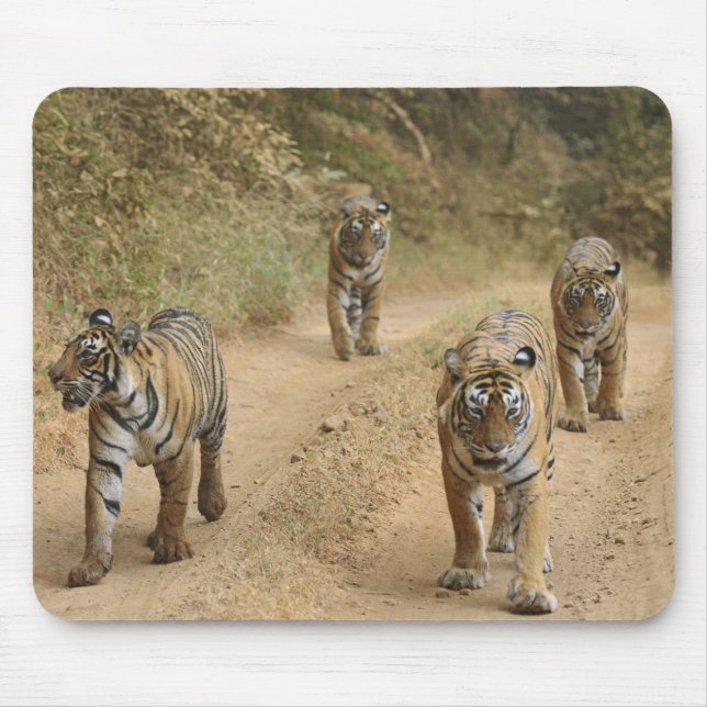 Mousepad Tigres-reais-de-bengala (Frente)