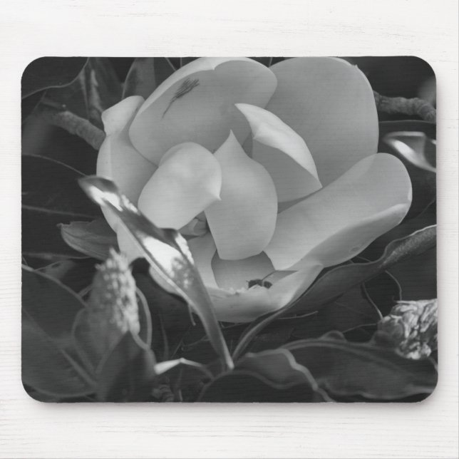 Mousepad Timeless Magnolia (Frente)