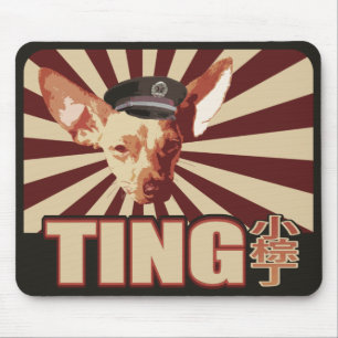 Mousepad TING o tapete do rato do regime