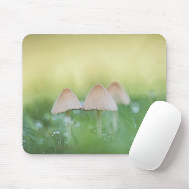 Mousepad Tiny Mushroom Nature Foto (Com mouse)