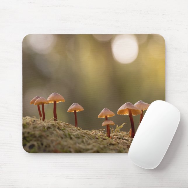 Mousepad Tiny Mushroom Nature Foto (Com mouse)