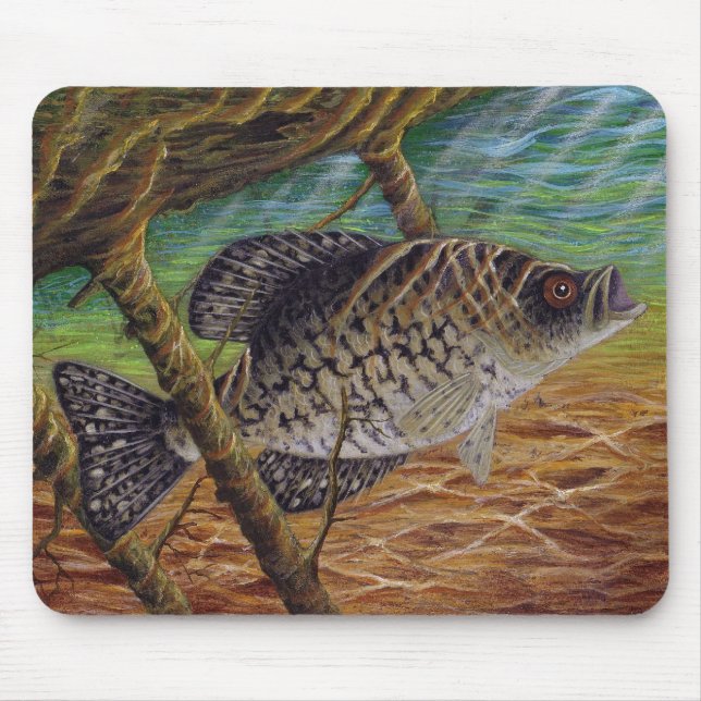 Mousepad tipo de peixe (Frente)