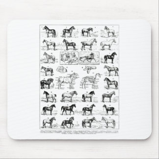 Mousepad Tipos De Vintagem De Cavalos Ridi