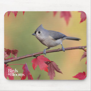 Mousepad Titmice adornados