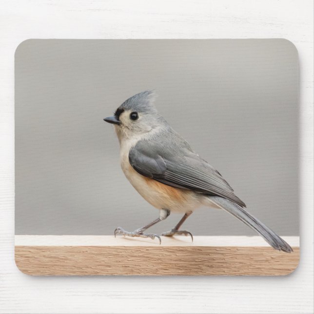 Mousepad Titmouse adornado (Frente)