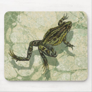 Mousepad Toad Swinning na água