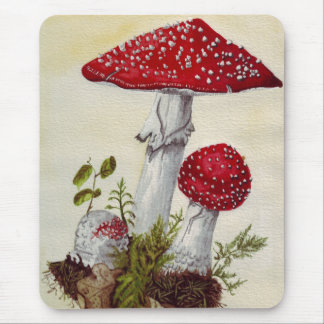 Mousepad Toadstool