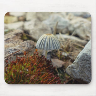 Mousepad Toadstool minúsculo