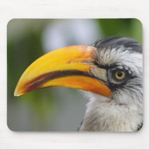 Mousepad Tockus leucomelas
