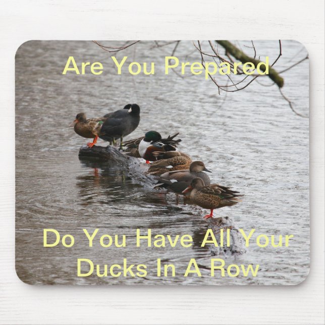 Mousepad Todos meus patos em seguido (Frente)