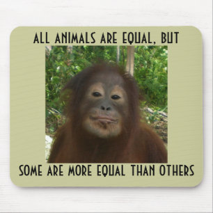 Mousepad Todos os animais são iguais