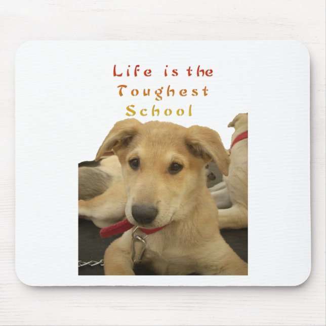 Mousepad Todos os Cachorros Têm o iTS DAY Hakuna Matata Dia (Frente)