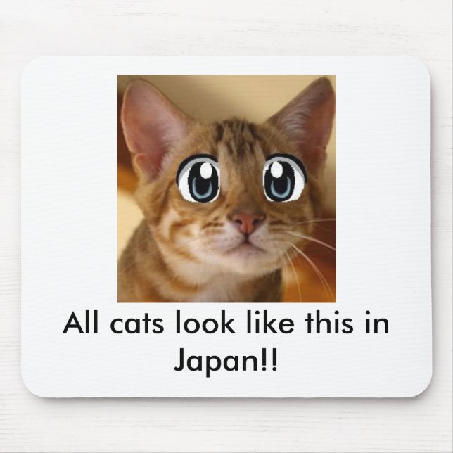 Mousepad Todos os gatos olham como este em Japão!! - Tapete (Frente)