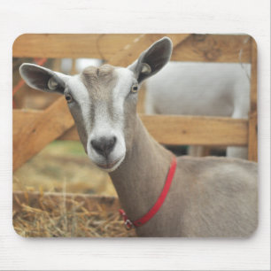 Mousepad Toggenburg Dairy Goat