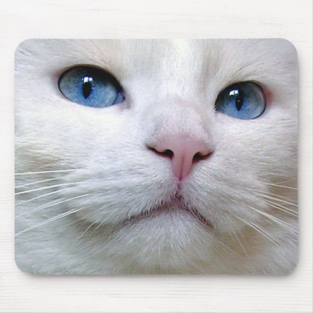 Mousepad Tom (Frente)