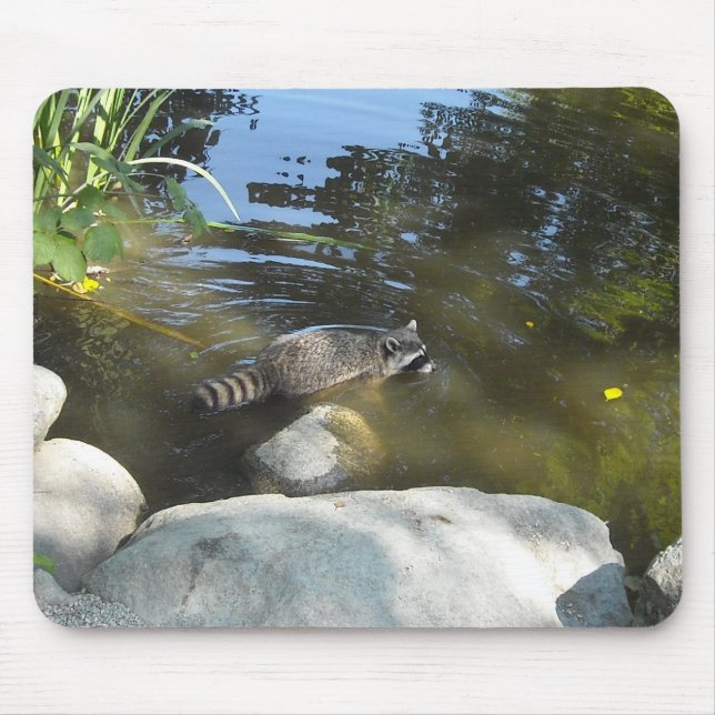 Mousepad Tomar um Dip Raccoon (Frente)