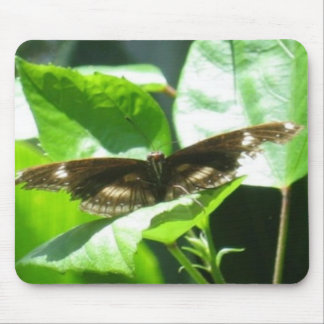 Mousepad Tome o vôo