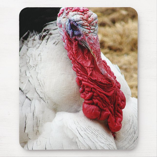 Mousepad Tommy (Frente)