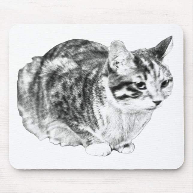 Mousepad Tons de mesa velvet, tabby focados (Frente)
