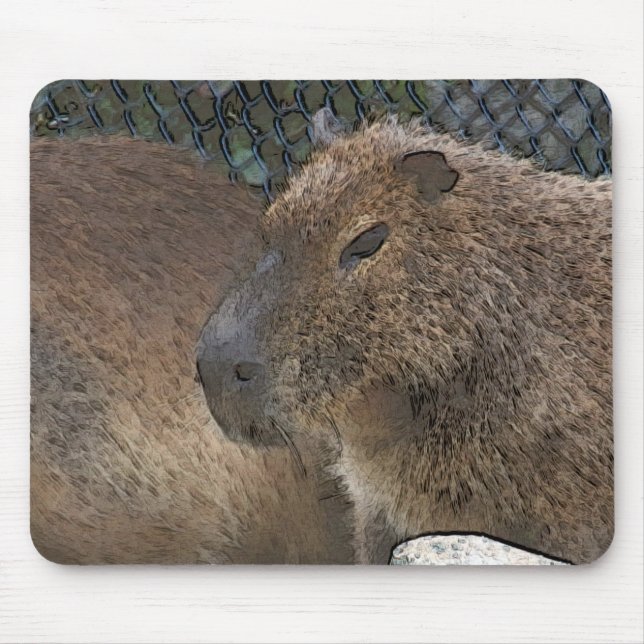 Mousepad toony Capibarah (Frente)