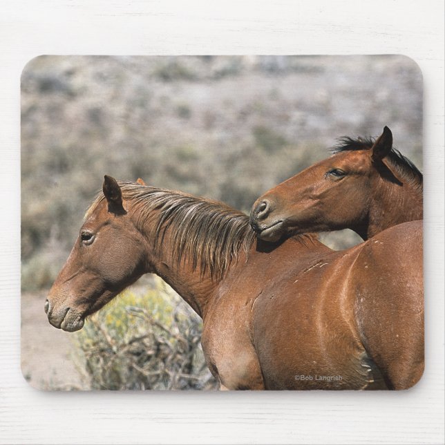 Mousepad Toque selvagem dos cavalos do mustang (Frente)