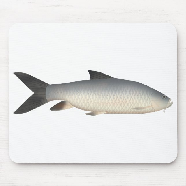 Mousepad Tor Mahseer (Frente)