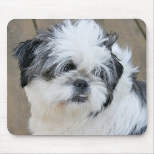 Mousepad torta do cutie