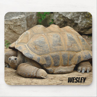 Mousepad Tortoise Sorridente