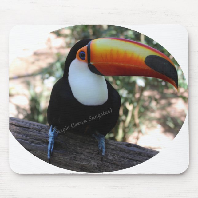 Mousepad Toucan (Frente)