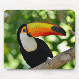Mousepad Toucan