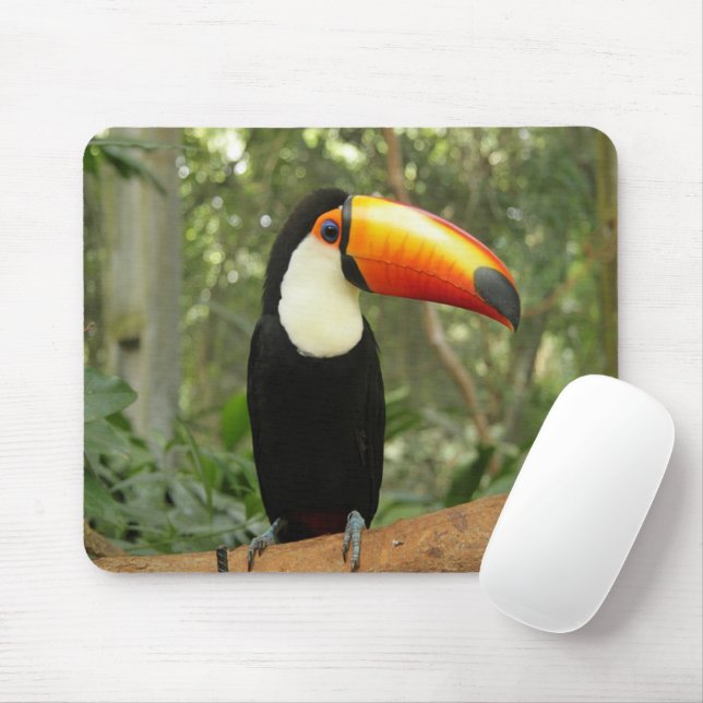 Mousepad Toucan na ramificação da árvore (Com mouse)