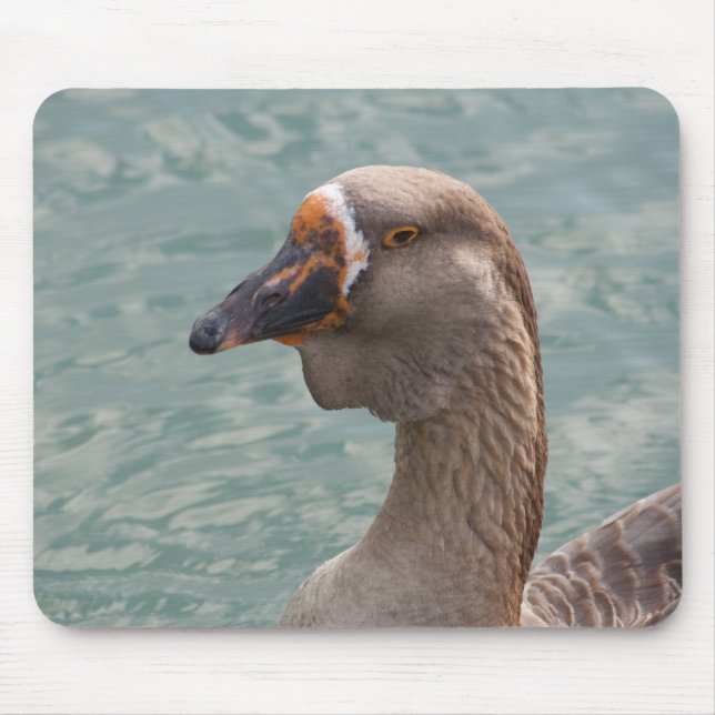 Mousepad Toulouse Goose (Frente)