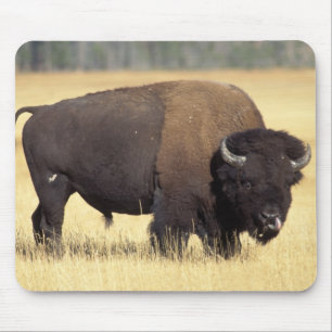 Mousepad Touro de Bisão no Parque Nacional de Yellowstone