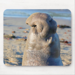 Mousepad Touro do selo de elefante